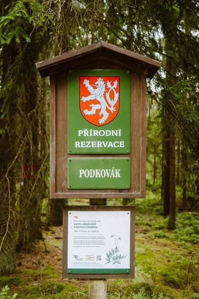 Přírodní rezervace Podkovák Český les co navštívit v okolí Tachova