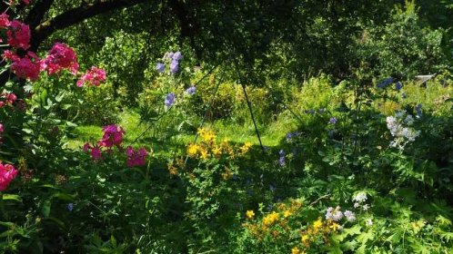 Proč mít zahradu v přírodním stylu? | Zahrady života