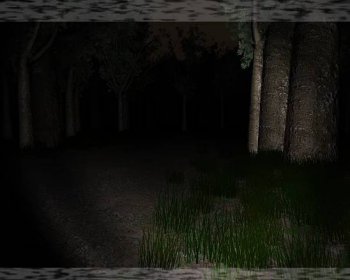 Slender: The Eight Pages Gameplay (Windows)