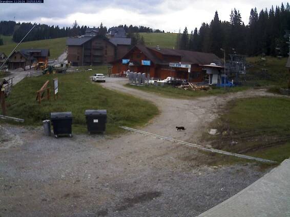 Orava Snow