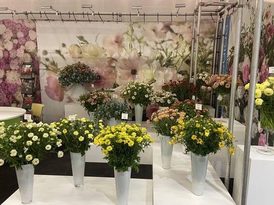 The Trade Fair was a huge success: thank you for visiting Monarch Flowers! – Monarch Flowers