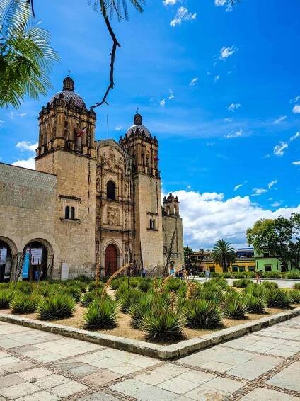 There are several bus options to choose from when travelling from Mexico City to Oaxaca.