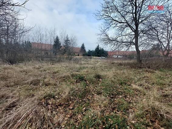Prodej Pozemek, Olešnice - Levín, okres Hradec Králové