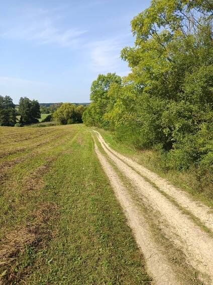 Soubor:Labská cyklotrasa, Valy, okres Pardubice, Pardubický kraj.jpg
