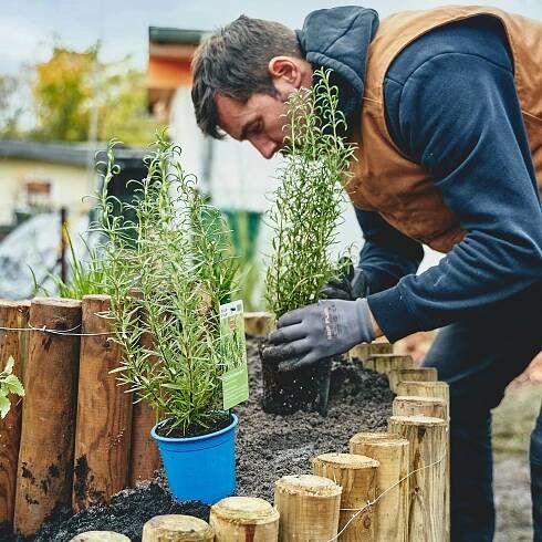 Muž položí bylinky na bylinkového šneka