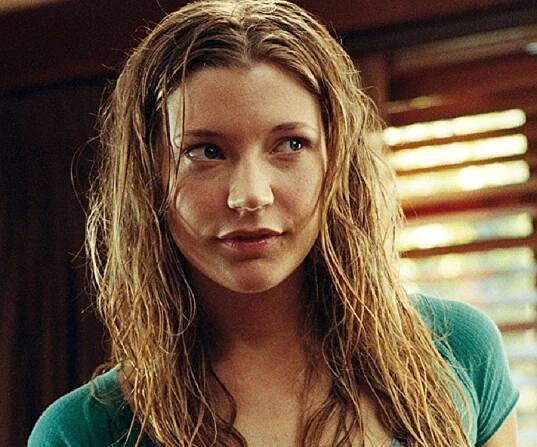 Sarah Roemer Biography - Facts, Childhood, Family of Actress