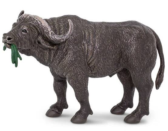Buvol africký
