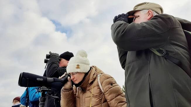 Pozorování vodních ptáků na jezeru Most. Patří k nejvýznamnějším zimovištím v ČR