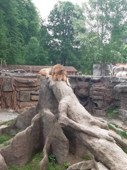 Projektový den ZOO Plasy - Oficiální stránky ZŠ a MŠ Mlečice