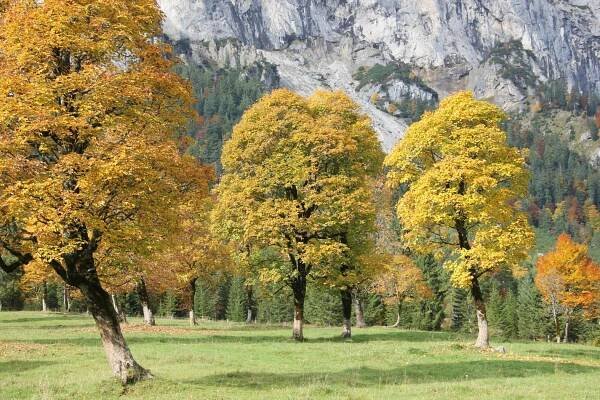 Hüttentour ins Karwendelgebirge zur Fereineralm und zur Kriner Kofler Hütte. Mittenwald, Alpenwelt Karwendel