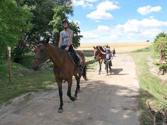 Příměstský tábor? Děti se projely na koních a vyzkoušely si práci ve stáji