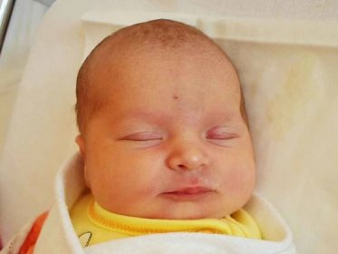 Valerie Lea Havlíková se narodila Alžbětě Divišové z Teplic  28.července v 11,36 hodin v teplické porodnici. Měřila 50, vážila 3,70 kg.