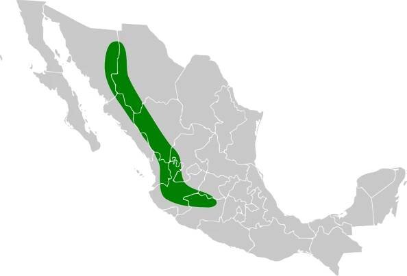 Soubor:Campephilus imperialis map.svg – Wikipedie