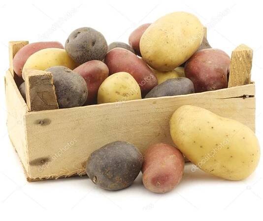 Sadbové brambory - 4 druhy - Solanum tuberosum - 12 ks