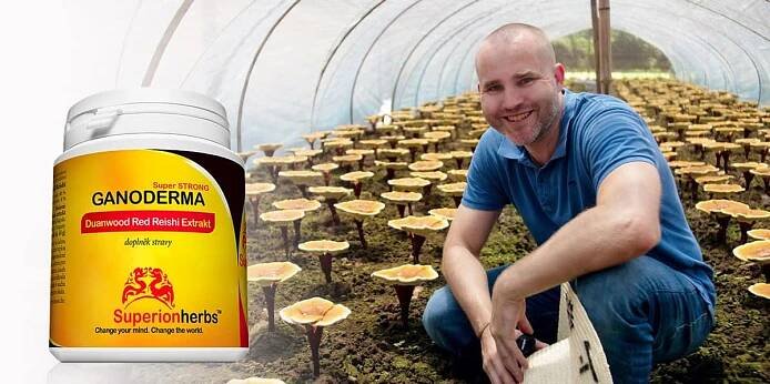 Superionherbs Ganoderma, Duanwood Red Reishi, Extrakt 40 % polysacharidů, 90 tobolek