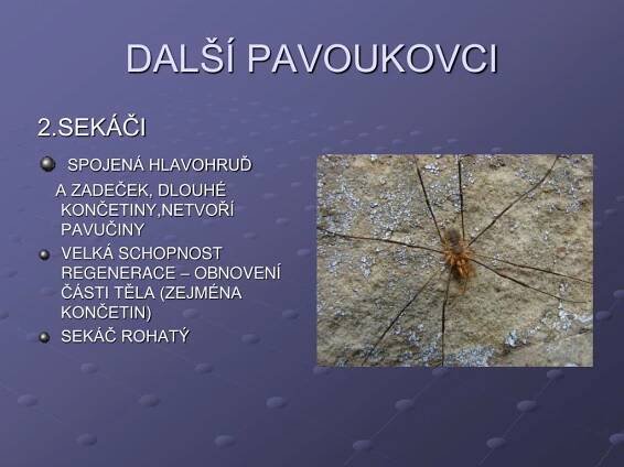 PPT - ČLENOVCI PowerPoint Presentation, free download - ID:4157833