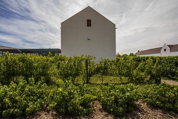 babylonstoren-52.jpg