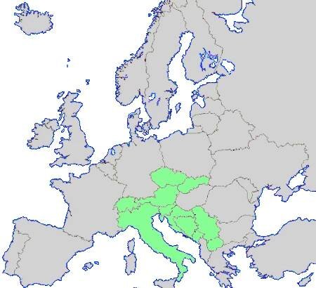 Evropa