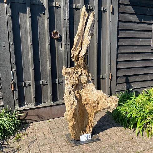 Driftwood Sculpture 152 with Free Shipping
