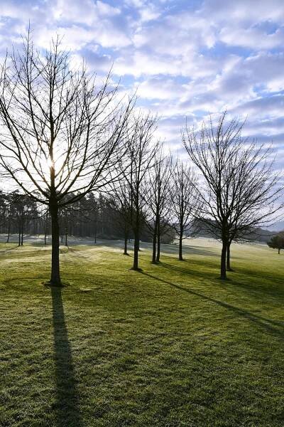 Fotografie - Ráno na golfovém hřišti v Janově - 24.04.2021