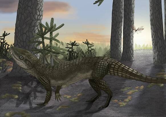 Stammesgeschichte der Krokodile – Wikipedia