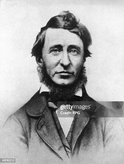 henry david thoreau (1817-62), american naturalist and author (b&w) - naturalist stock pictures, royalty-free photos & images
