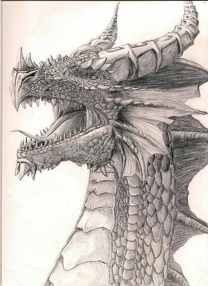 Pin by Esra on Çizim | Dragon art, Dragon artwork fantasy, Dragon drawing