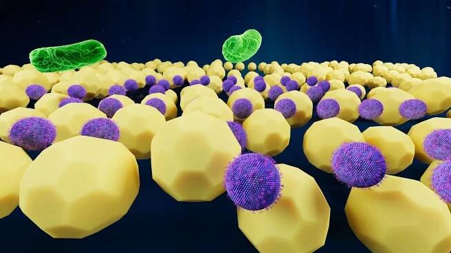 Fighting bacteria with nanoscale technology
