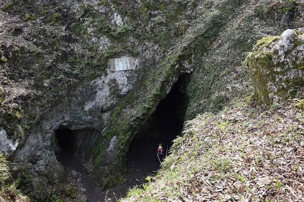 Národní přírodní památka Šipka je archeologickým nalezištěm, ležícím u města Štramberk. 