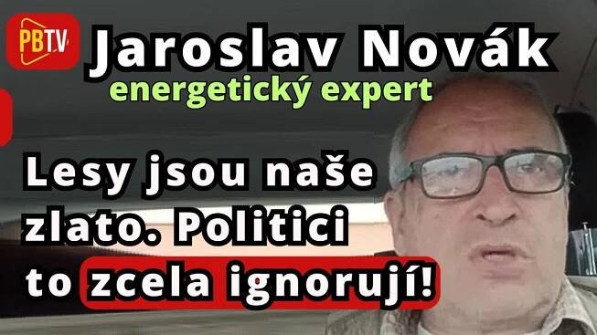 Jaroslav Novák: Naše lesy nesmíme nechat na pospas parazitům. Politici se musí probudit!