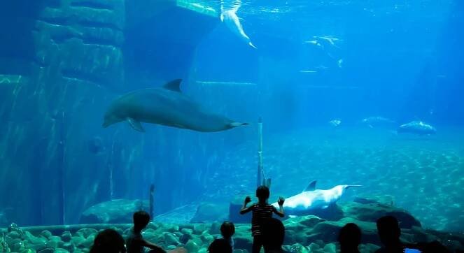 Norimberk: ZOO, Delfinárium & Levné Ubytování