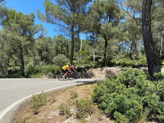 Mallorca kemp Bike Holidays III. 8. - 15. 5. 2022 | Alltraining.cz