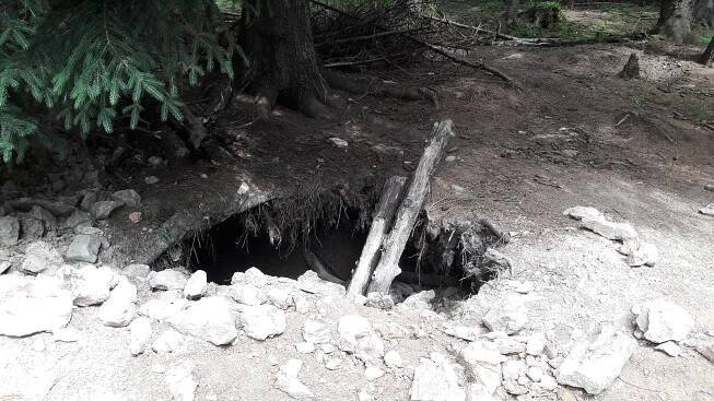Hon za polodrahokamy ničí lesy u Klášterce. Po hledačích zůstávají jámy