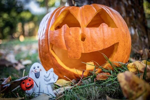 Helloween Dýně Předvečer Všech - Fotografie zdarma na Pixabay