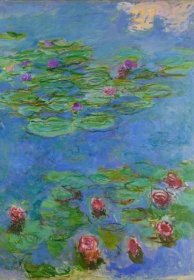 Grafika Claude Monet Lekníny detail 1000 dílků
