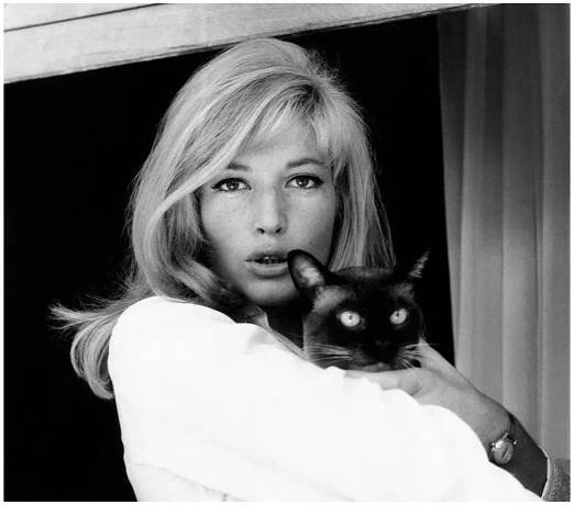 istitutofemminile:
“Monica Vitti
”