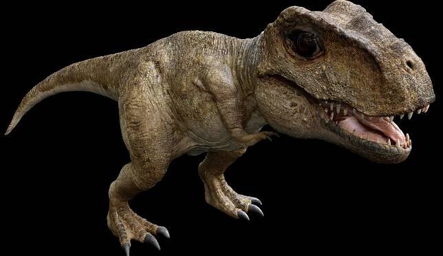 3D realistic rigged https://p.turbosquid.com/ts-thumb/D7/A2U3dc/zIQghzD0/14/jpg/1576563508/1920x1080/fit_q87/08232be59176683823ba578efd2fa13e75c497cc/14.jpg
