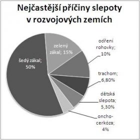 Soubor:Graf priciny slepoty Diagram Causes of blindness.jpg