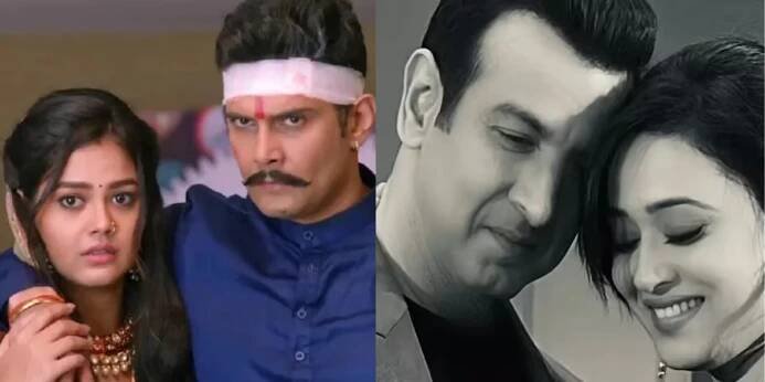 From Priyal Mahajan and Amar Upadhyay to Ronit Roy and Shweta Tiwari; telly couples with a significant age gap paired together in romantic shows