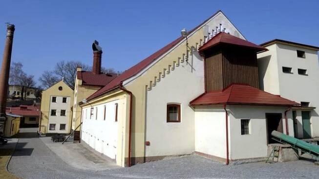 Nemocnice: článek, rasismus a papouškování