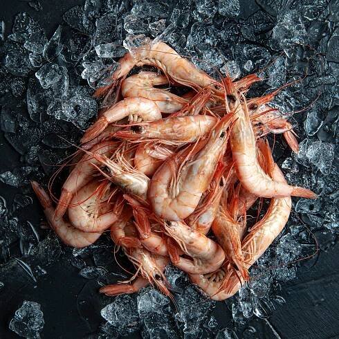 Comprar Marisco de Huelva al Mejor Precio