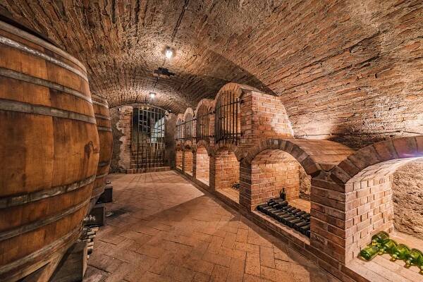 a wine cellar with a bunch of wine barrels at Husí plácek s vinným sklepem a terasou in Dolní Věstonice