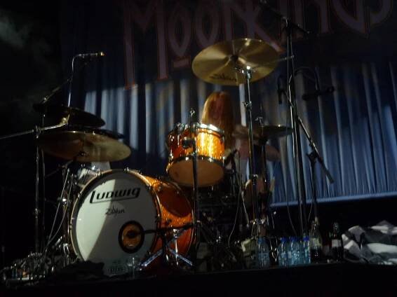 LIVE SHOWS 