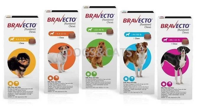 Bravecto Chews