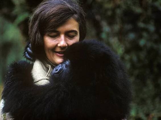 Dian Fossey, Woman of Discovery