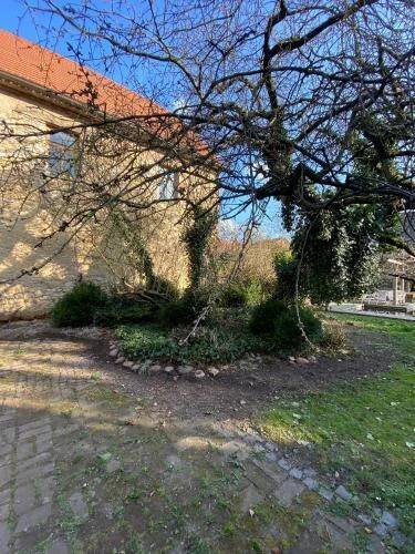 Zahrada ubytování Chalupa Vidim