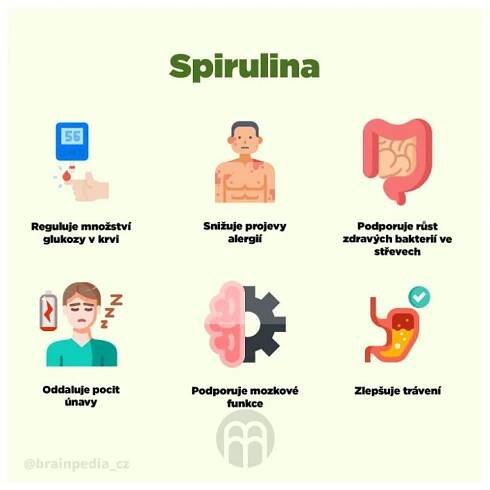 BrainMax Pure Spirulina BIO prášek, 250 g