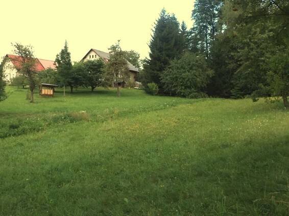 Prodej Pozemek, Pěčín, okres Rychnov nad Kněžnou