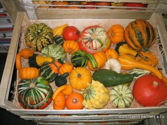 Dýně. - Euro-Gastro