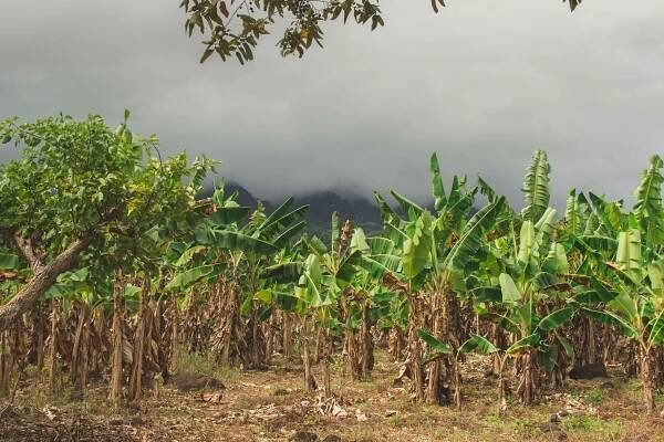 Cykloturistika na ostrove Ometepe, Nikaragua | Step out and explore